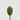 EDG - Cactus 23cm Cod. 232894,700