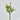 EDG - Sarracenia 24cm Cod. 234109,70
