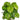GASPER - Maranta Bush Artificiale 50cm