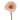 Ramo gerbera 50cm Cod. 800354