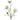 Ramo Coreopsis 64cm Cod. 800555