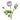 Ramo ranuncolo 51cm Cod. 801048
