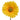 Ramo gerbera 50cm Cod. 802232