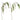 Bruco - Ramo Artificiale Pepe Nero Cod. F3013