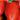 FOUR - seme da orto - pomodoro enzo