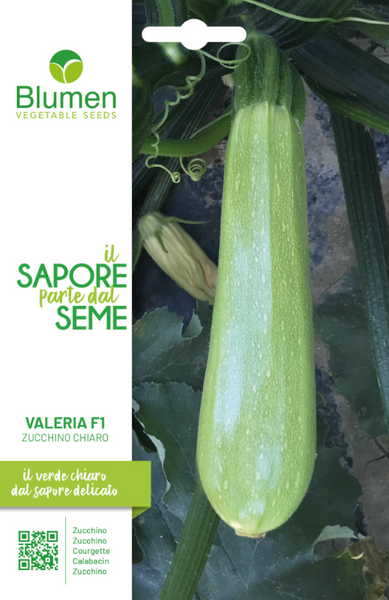 Semi Di Zucchina Bianca Di Palermo - Per Orto E Giardino - Foto 3