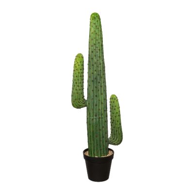 Cactus 127cm Cod.1117055-00