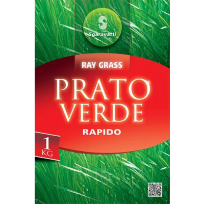 Sementi da Prato Verde Rapido di Ray Grass | Sgaravatti