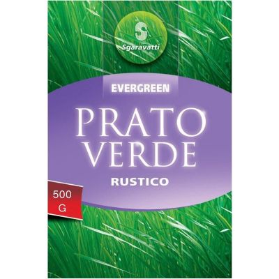 Sementi da Prato Verde Rustico Evergreen 500g | Sgaravatti