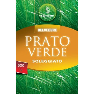 Sementi Prato Verde Soleggiato a Copertura Rapida 500g | Sgaravatti