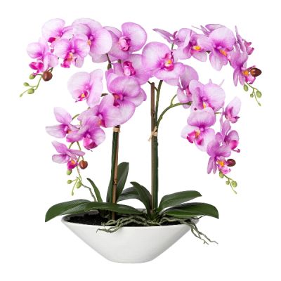 GASPER - Orchidea Phalenopsis Rosa 53cm