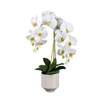 GASPER - Pianta Artificiale Orchidea Bianca 60cm 