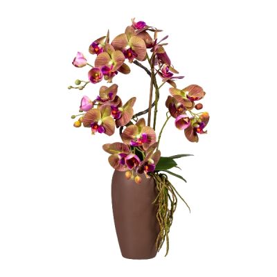 GASPER - Orchidea Phalenopsis Viola 70cm