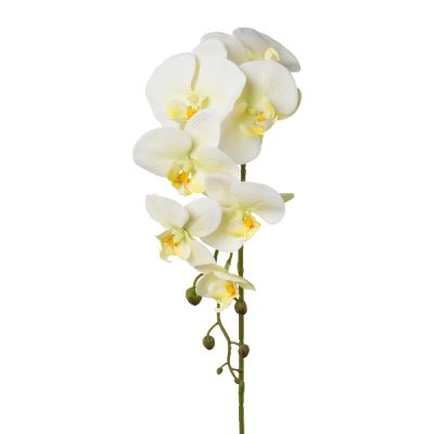 Ramo Orchidea Phalenopsis 86cm Cod.3020076-50