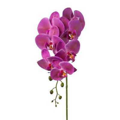 Ramo Orchidea Phalenopsis Cod.3020076-80