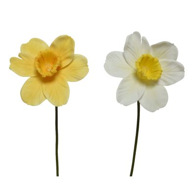 Fiore di narciso Cod. 801229