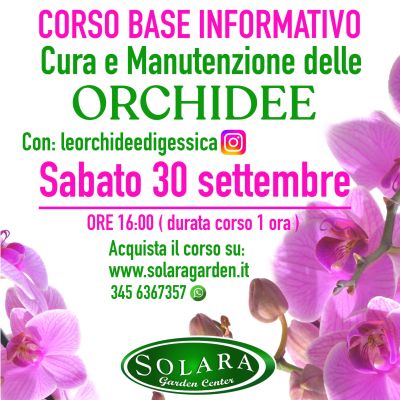 Corso Base Orchidee Cura & Manutenzione 