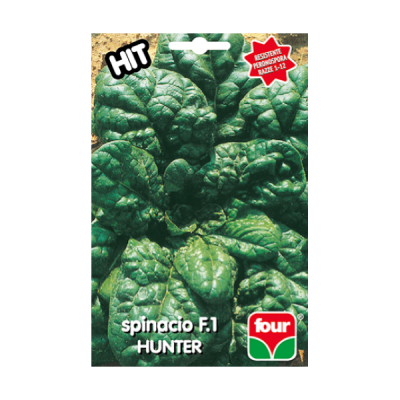 FOUR - seme da orto -spinacio hunter