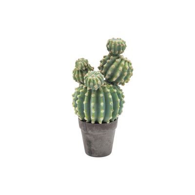 BRUCO - Pianta cactus Cod. B4565