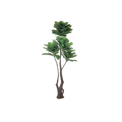 BRUCO - Pianta Artocarpus 210cm  Cod. B7642