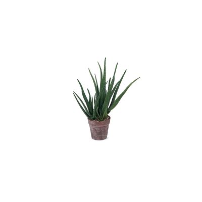 BRUCO - Pianta Aloe 46cm Cod. B7653