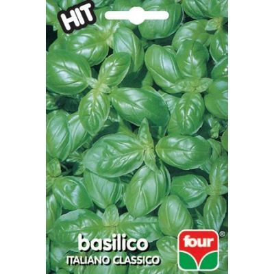 FOUR - seme da orto - basilico italiano classico