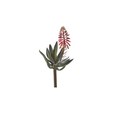 Ramo Aloe con fiore 37cm Cod. F3276RO