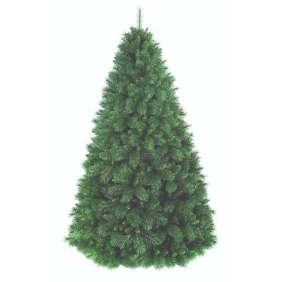 Giant Pine Spruce 210Cm 