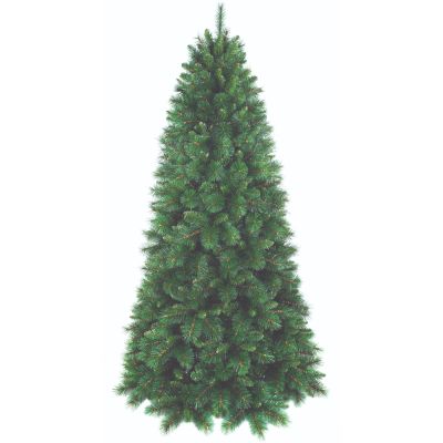 Giant Pine Spruce Slim 240Cm