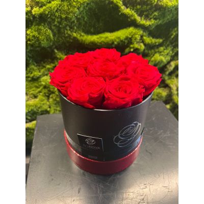 Box Rose Stabilizzate 8 Rose Rosse 15cm 