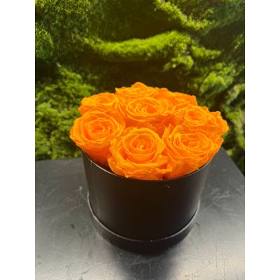 Box Rose Stabilizzate 8 Rose Arancioni 16cm 