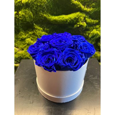 Box Rose Stabilizzate 8 Rose Blu 16cm 