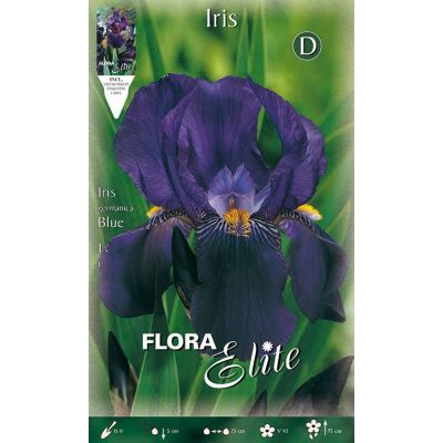 Flora Elite - Bulbi Iris Germanica Blu 