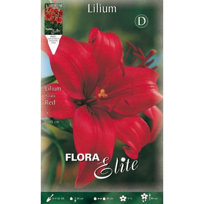 Bulbi Lilium Asiatico Rosso 2pz Cod.H842313