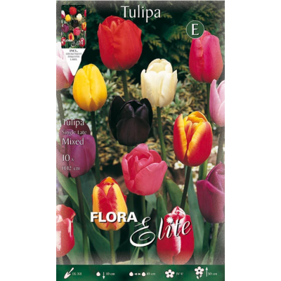 Flora Elite - Bulbi Tulipani Semplici 10 pezzi Cod. 266003