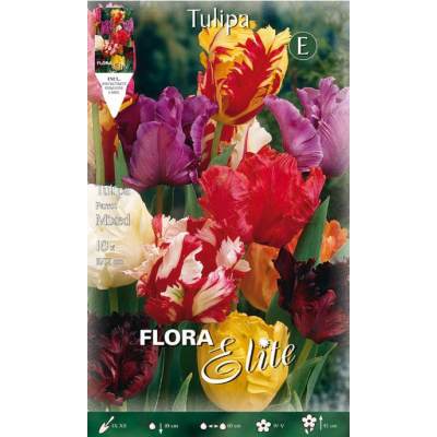 Flora Elite - Bulbi Tulipani Parrot 10 pezzi Cod. 268809