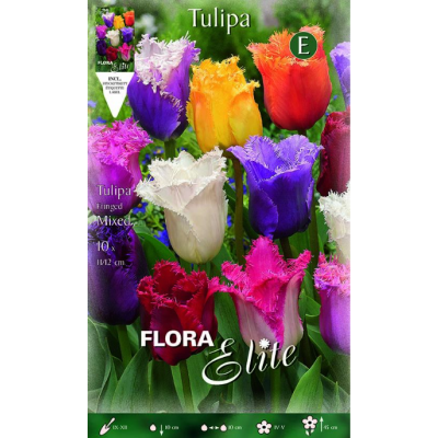 Flora Elite - Bulbi Tulipani Sfrangiati 10 pezzi Cod. 267055