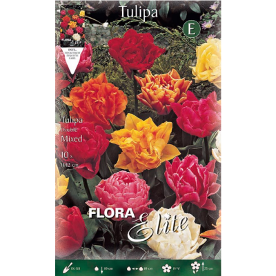 Flora Elite - Bulbi Tulipani Fiore Doppio 10 pezzi Cod. 260407