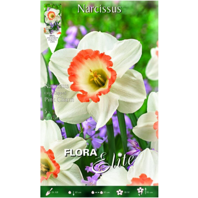 Flora Elite - Bulbi Narciso Pink Charm 5 pezzi Cod. 246401