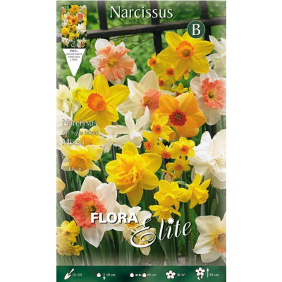 Flora Elite - Bulbi Narciso All Types 5 pezzi Cod. 391309