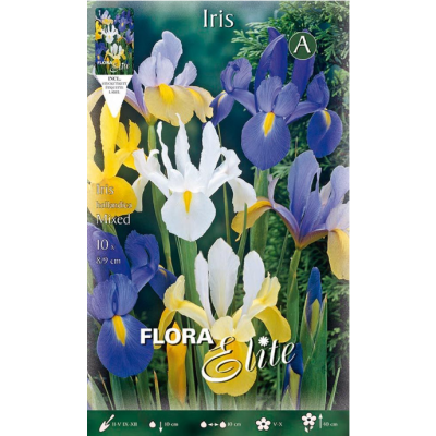 Flora Elite - Bulbi Iris Hollandica 10 pezzi Cod. 832376