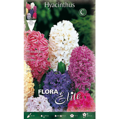 Flora Elite - Bulbi Giacinto mix 3 pezzi Cod. 134401