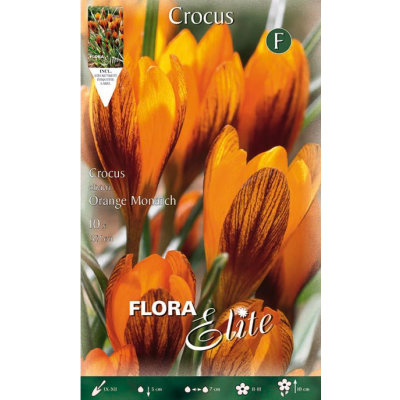 Flora Elite - Bulbi Crocus Olivieri 10 pezzi Cod. 789359