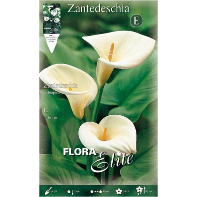 Flora Elite - Bulbi Zantedeschia Aethiopica 1 pezzo Cod. 785986