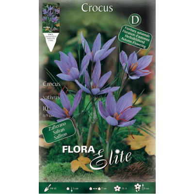 Flora Elite - Bulbi Crocus Sativus 10 pezzi Cod. 13283