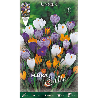Flora Elite - Bulbi Crocus Vernus e Flavus 10 pezzi Cod. 13169