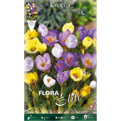 Flora Elite - Bulbi Crocus Colori Mix 15 pezzi Cod. 13056