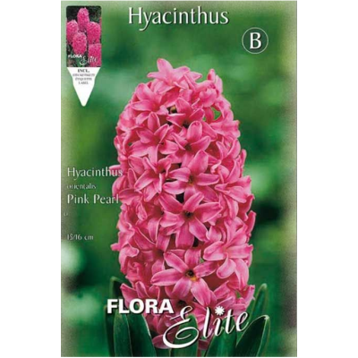 Flora Elite - Bulbi Giacinto Pink Pearl 3 pezzi Cod. 13155