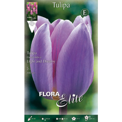 Flora Elite - Bulbi Tulipano Light and Dreamy 5 pezzi Cod. 13315