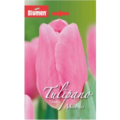 Flora Elite - Bulbi Tulipano Trionfo Mistress Cod.13302